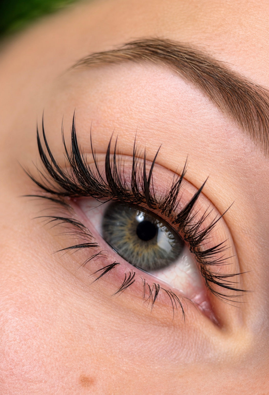 PERFECTIONNEMENT LASH BOTTOMS
