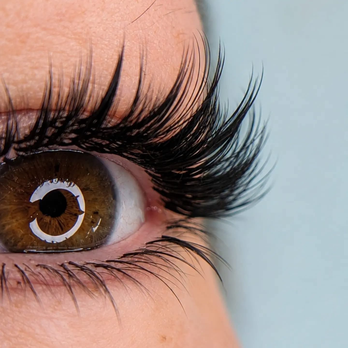 PERFECTIONNEMENT LASH BOTTOMS