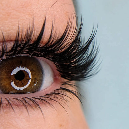 PERFECTIONNEMENT LASH BOTTOMS
