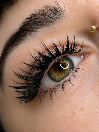 PERFECTIONNEMENT LASH BOTTOMS